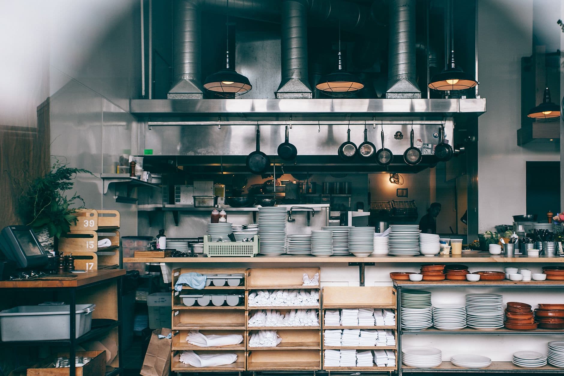 Lutte contre les nuisibles en restauration : prévenir rongeurs et insectes dans le cadre HACCP — article Hygiène alimentaire